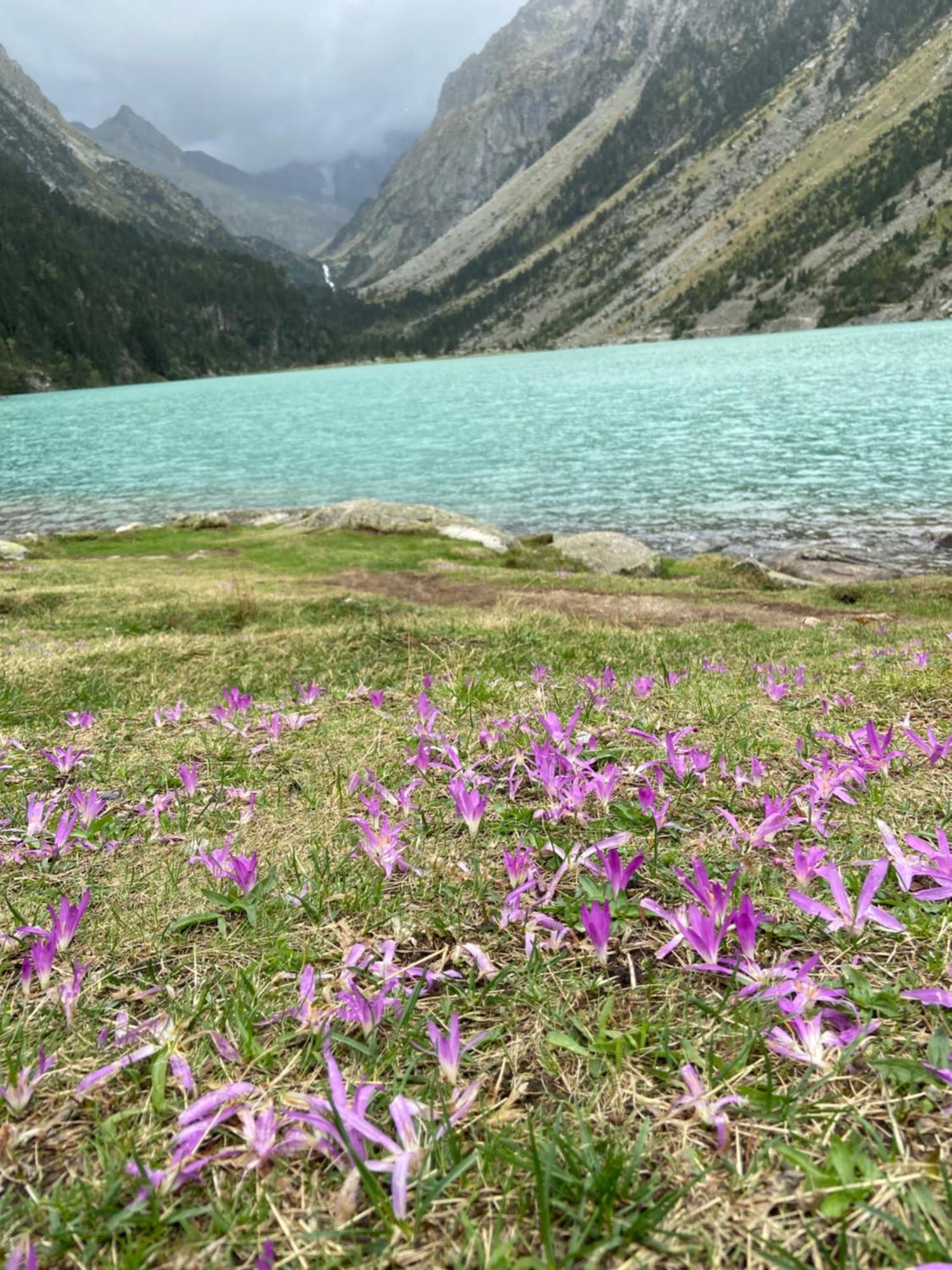 Le Navarre, charmant T2 familial équipé, en rez-de-chaussée, très bien situé en centre ville de Cauterets Extérieur photo